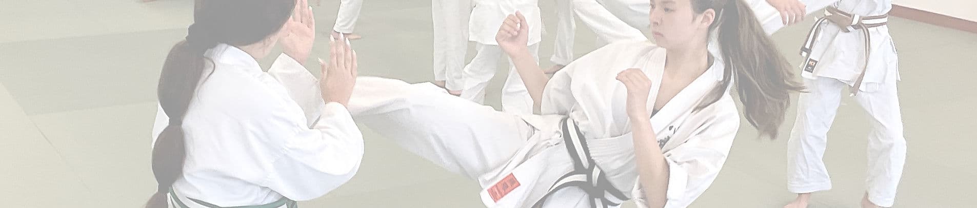 Main image of Mind Body Dojo