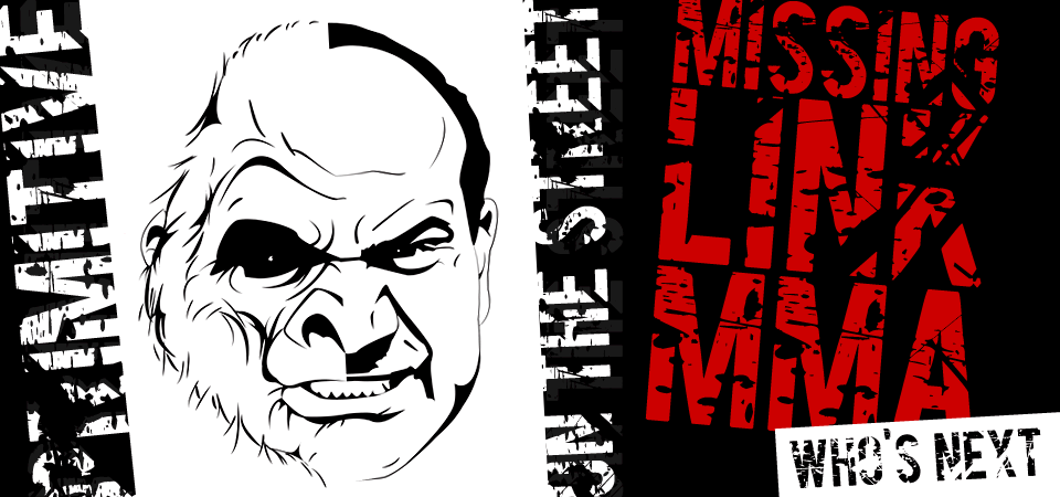 Main image of Missing Link MMA