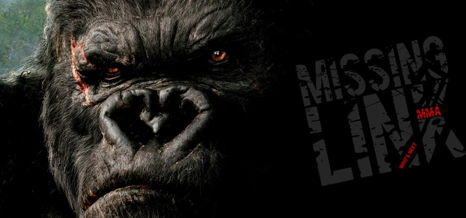 Missing Link MMA logo