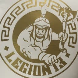 MMA Legion 13 logo