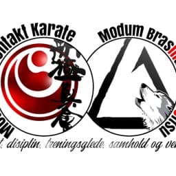 Modum Karateklubb v/Tony Rytter logo