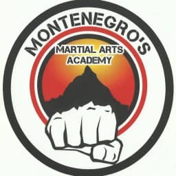 Montenegro’s Martial Arts Academy logo