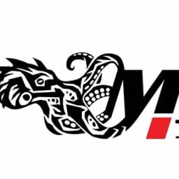 Motive Jiu-Jitsu logo