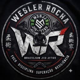 MS Legacy Brazilian Jiu-Jitsu /WR logo