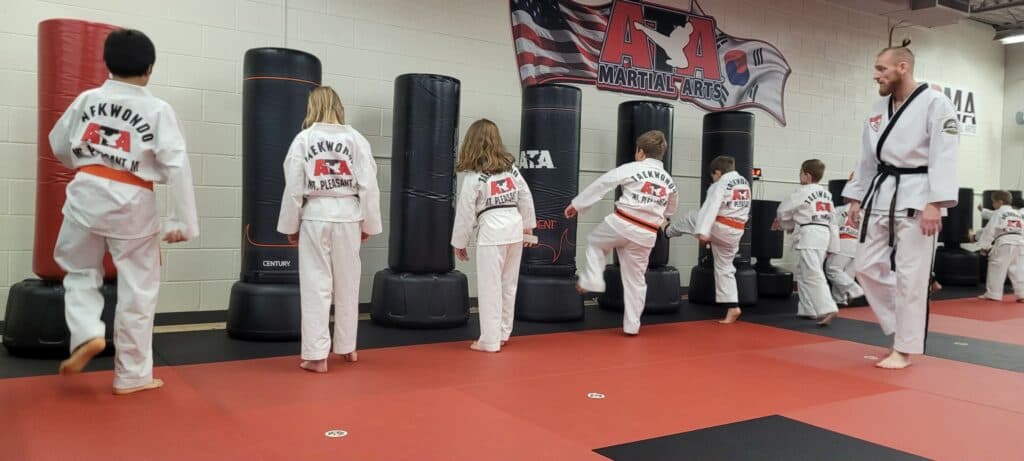 Main image of Mt. Pleasant Martial Arts