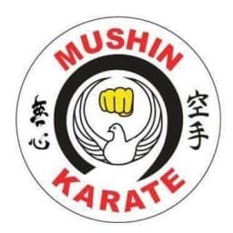 Mushin karate & SBG Belfast logo