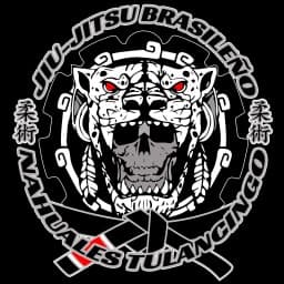 NAHUALES TULANCINGO JIU JITSU logo