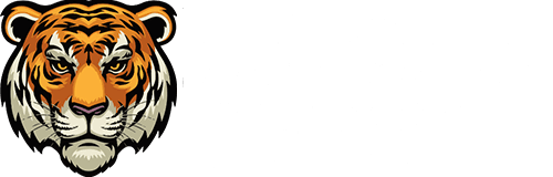 Nami academy judo e brazilian jiujitsu logo
