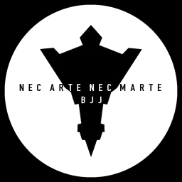 NANM BJJ logo