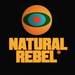 Natural Rebel Martial Arts logo