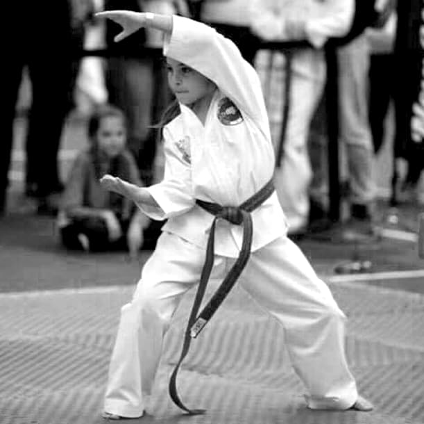 Main image of New Wave Martial Arts
