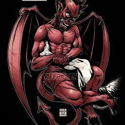 Newaza with attitude logo