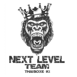 NEXT LEVEL TEAM logo