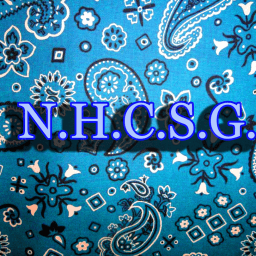 NHCSG logo