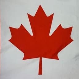 Niagara Falls Independent (Bojutsu logo