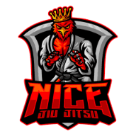 Nice Jiu Jitsu logo