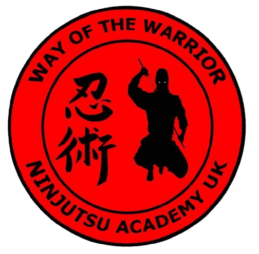 Main image of Ninjutsu Academy Swansea