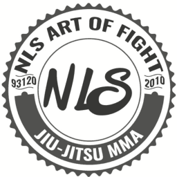 NLS art of fight logo