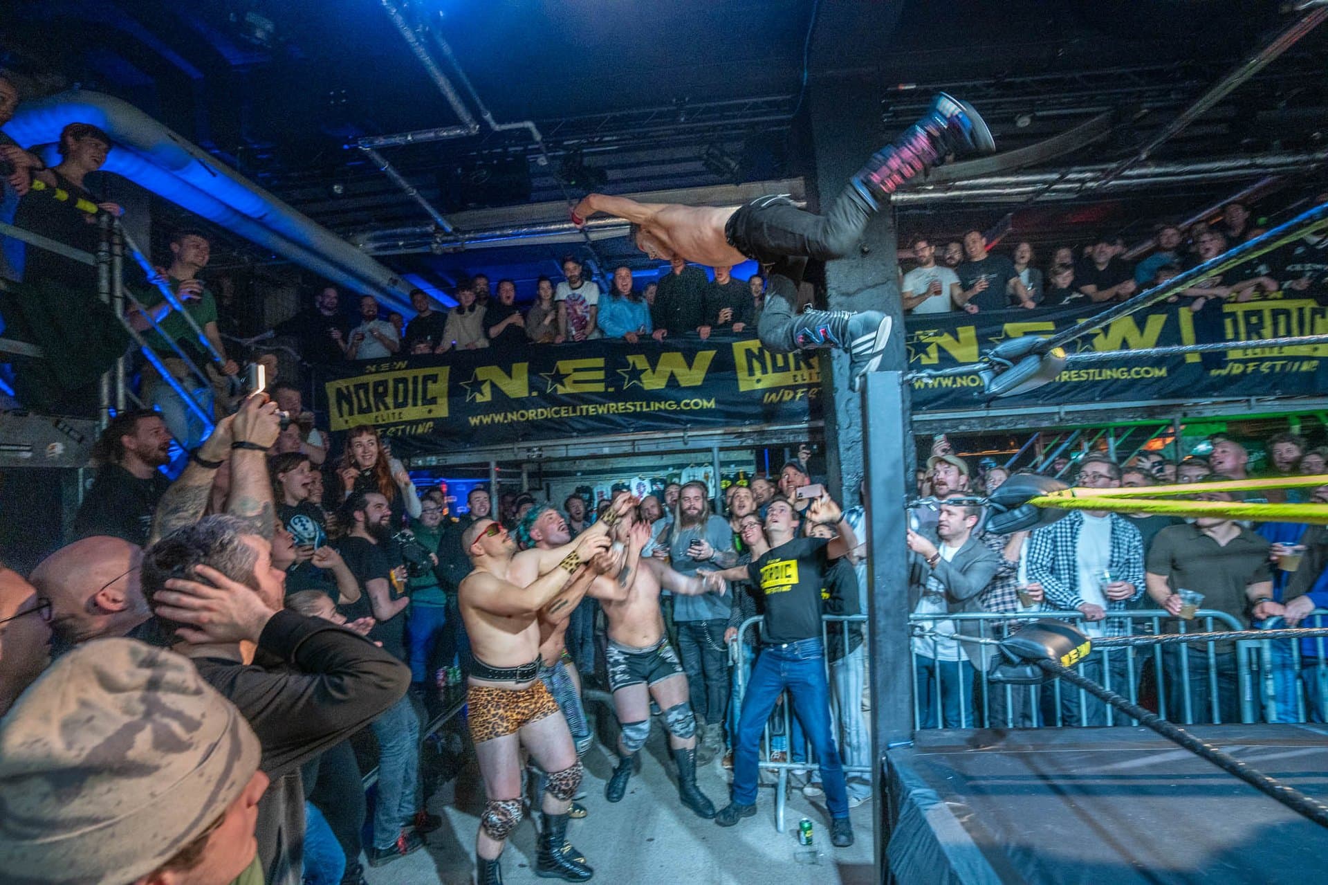 Main image of Nordic Elite Wrestling