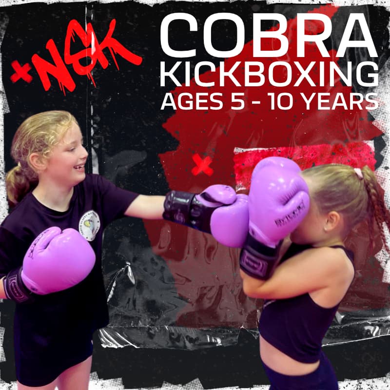 Main image of North Staffordshire Kickboxing