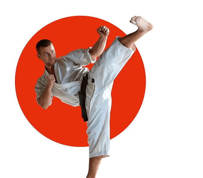 Northern Karate School Markham logo