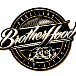 NS BROTHERHOOD INTERNATIONAL logo