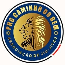 NS Brotherhood PARANÁ logo