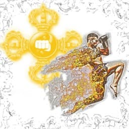 Ochir Nudarga” Fighting sports center logo