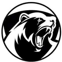 ODIN Brazilian Jiujitsu logo