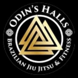 Odin's Halls BJJ - Paradise logo