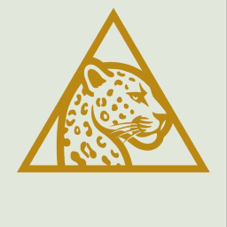 Odyssey Jiu-Jitsu logo