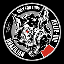 Ofc_brazilianjiujitsu logo