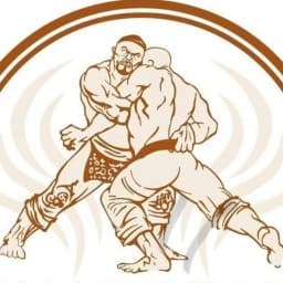 Olympia Temirtau logo