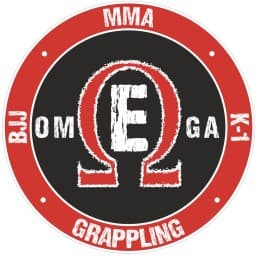 Omega Team logo
