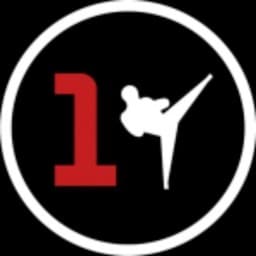 ONE BOXE STRASBOURG logo