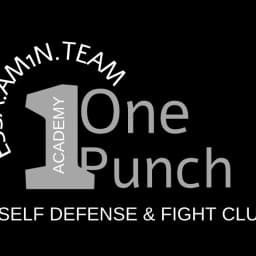 One punch logo