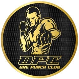 One punch team logo