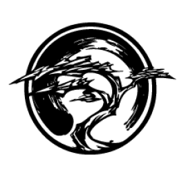 Origin BJJ Newcastle logo