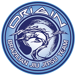 Origin Brazilian Jiu Jitsu - Team N22 logo