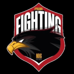 Original Fighting Nürnberg logo