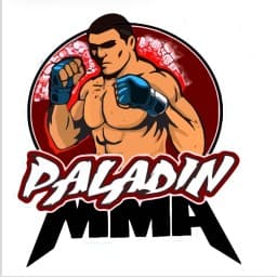Paladin MMA Academy logo