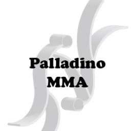 Palladino MMA logo