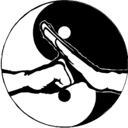 PALLESVIAKOS A.S. KUNG FU logo