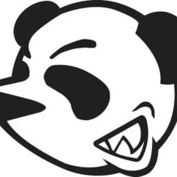 Panda Brazilian Jiu Jitsu logo