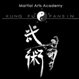 Pansin Kungfu Academy logo