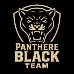 Panthera black MMA logo