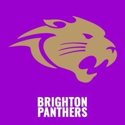Panthers BJJ logo