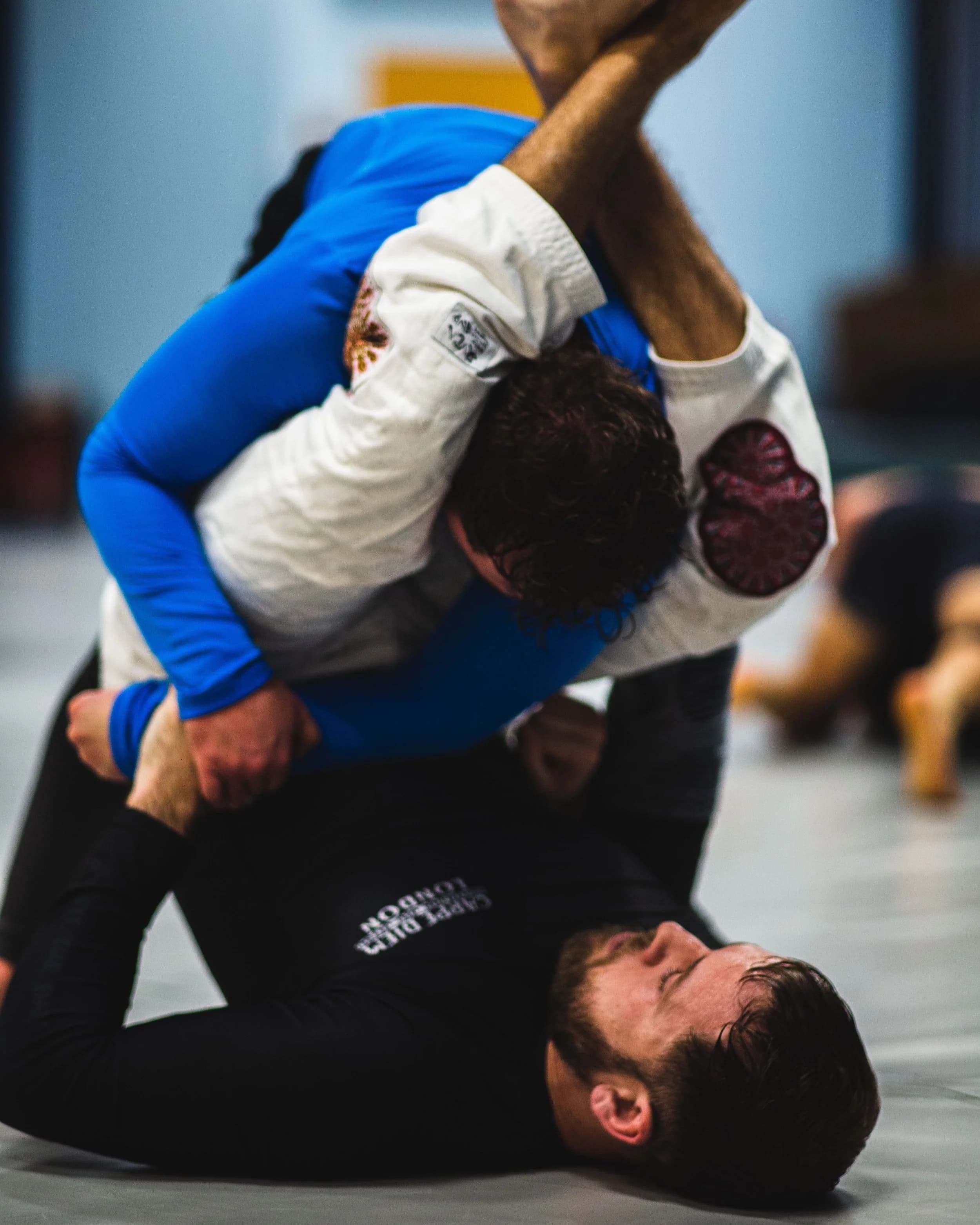 Main image of Peak Jiu Jitsu - Brazilian Jiu Jitsu