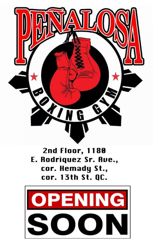 Penalosa Boxing Gym-Hemady QC logo