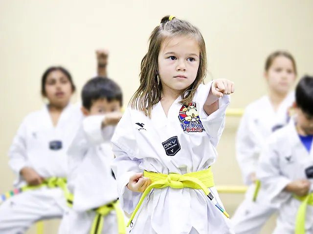 Pesuso Martial Arts Academy logo